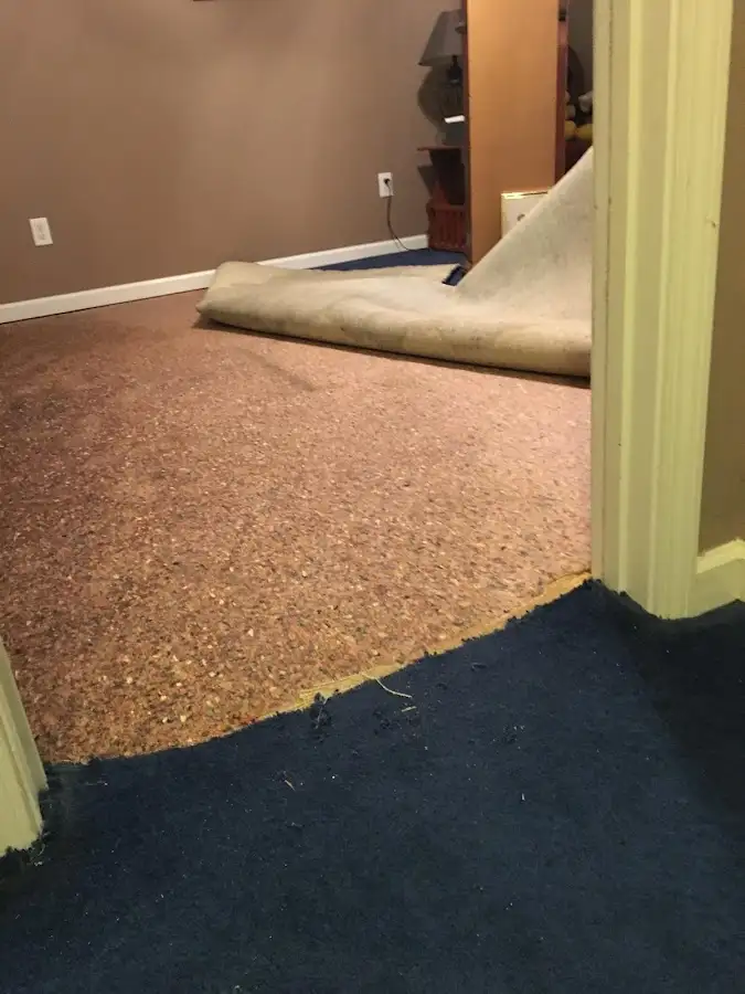 Carpet pad removal revealing water damage during Water Mitigation Services in Vine Grove