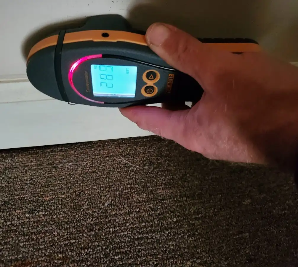 Moisture detection at baseboard during Sewage Cleanup & Sanitation in Vine Grove